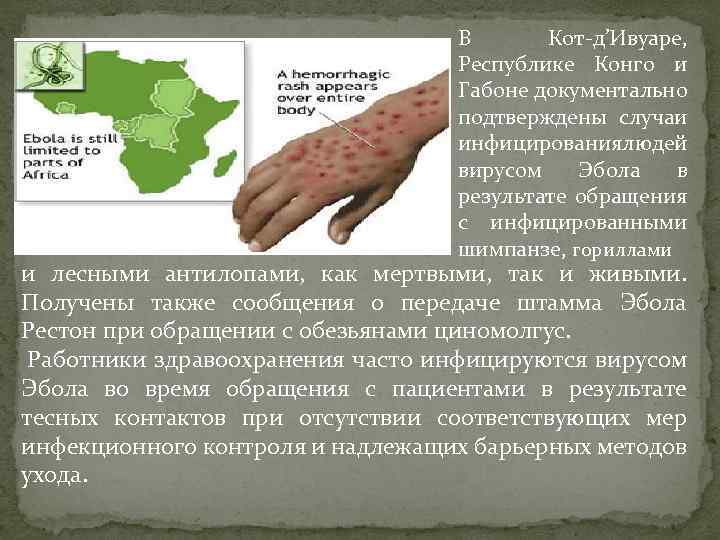 В Кот-д’Ивуаре, Республике Конго и Габоне документально подтверждены случаи инфицирования юдей л вирусом Эбола