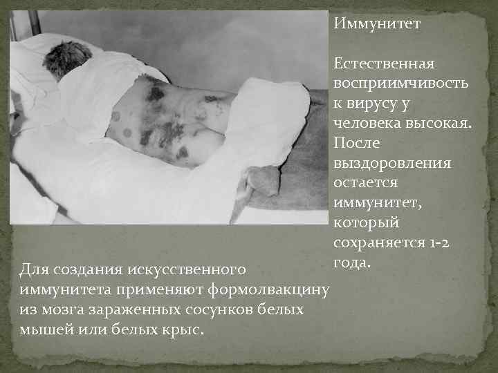 Иммунитет Естественная восприимчивость к вирусу у человека высокая. После выздоровления остается иммунитет, который сохраняется