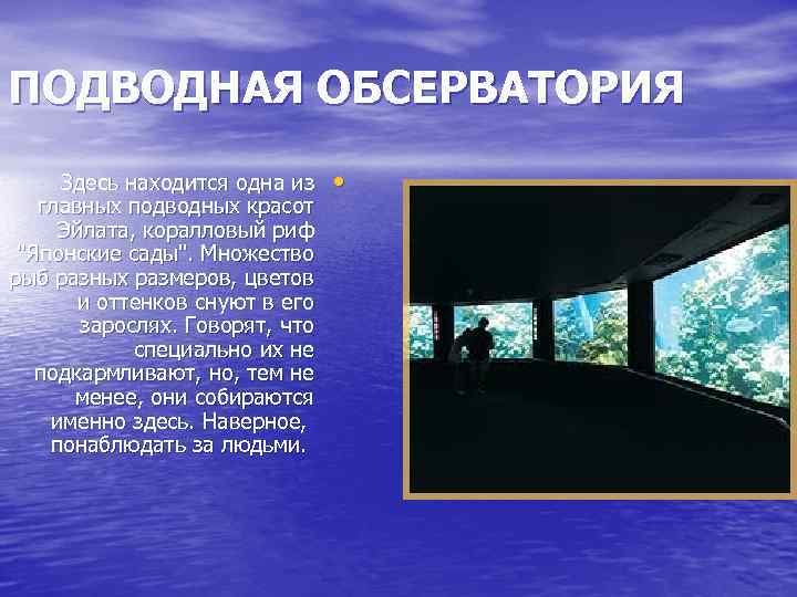 ПОДВОДНАЯ ОБСЕРВАТОРИЯ Здесь находится одна из главных подводных красот Эйлата, коралловый риф "Японские сады".