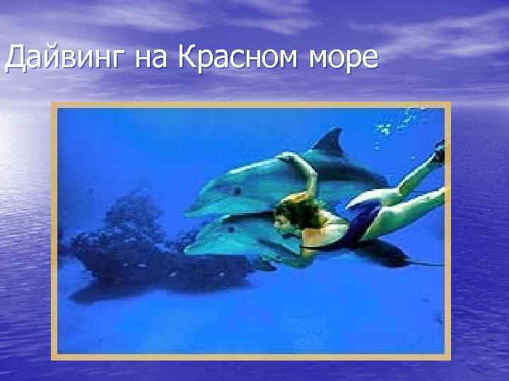  Дайвинг на Красном море 