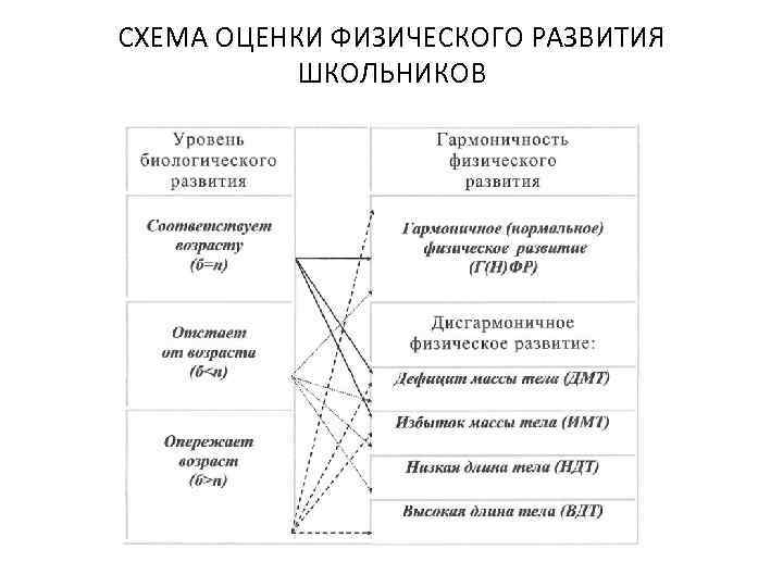 СХЕМА ОЦЕНКИ ФИЗИЧЕСКОГО РАЗВИТИЯ ШКОЛЬНИКОВ 