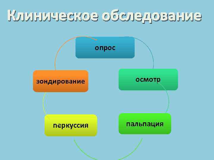 Клиническое обследование опрос зондирование осмотр перкуссия пальпация 