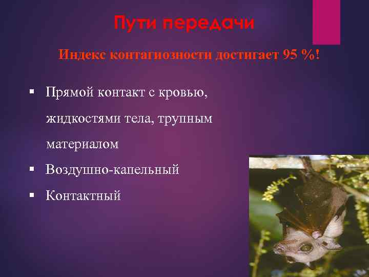 Пути передачи Индекс контагиозности достигает 95 %! § Прямой контакт с кровью, жидкостями тела,