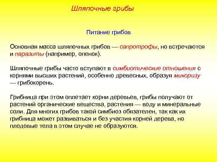 Шляпочные грибы Питание грибов Основная масса шляпочных грибов — сапротрофы, но встречаются и паразиты