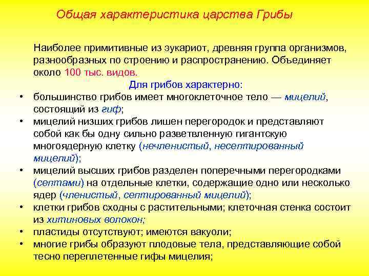 Общая характеристика царства Грибы • • • Наиболее примитивные из эукариот, древняя группа организмов,