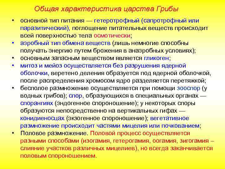 Общая характеристика царства Грибы • основной тип питания — гетеротрофный (сапротрофный или паразитический), поглощение