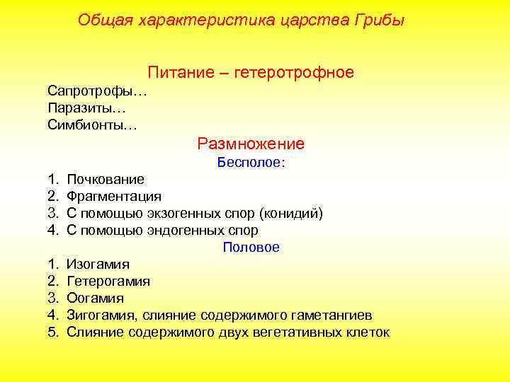 Общая характеристика царства Грибы Питание – гетеротрофное Сапротрофы… Паразиты… Симбионты… Размножение Бесполое: 1. 2.