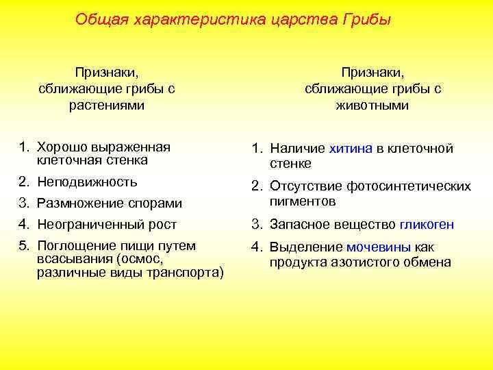 Общая характеристика царства Грибы Признаки, сближающие грибы с растениями Признаки, сближающие грибы с животными