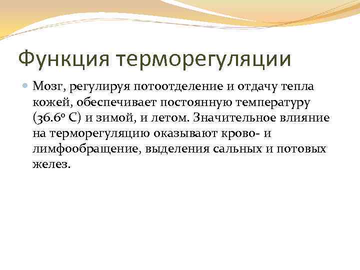 Функция терморегуляции Мозг, регулируя потоотделение и отдачу тепла кожей, обеспечивает постоянную температуру (36. 6