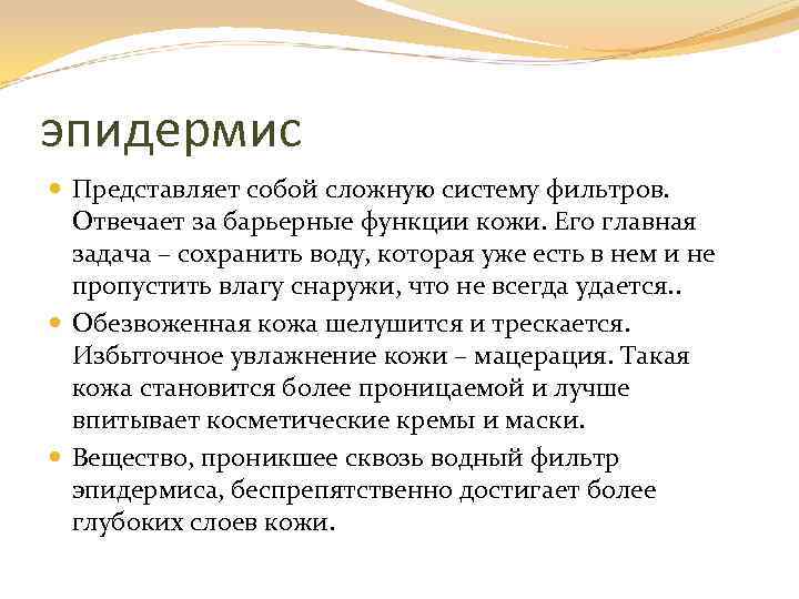 эпидермис Представляет собой сложную систему фильтров. Отвечает за барьерные функции кожи. Его главная задача