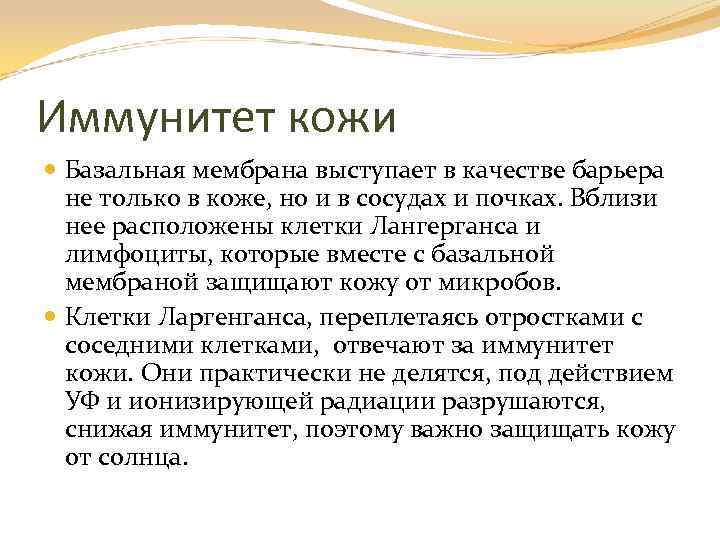 Иммунитет кожи Базальная мембрана выступает в качестве барьера не только в коже, но и