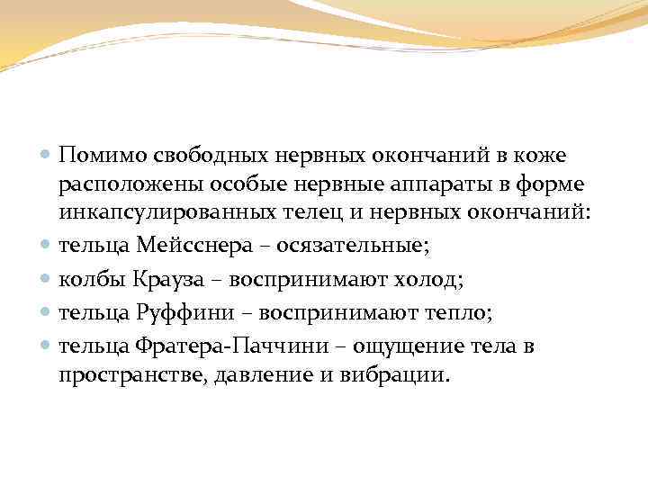  Помимо свободных нервных окончаний в коже расположены особые нервные аппараты в форме инкапсулированных