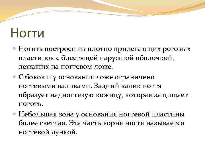Ногти Ноготь построен из плотно прилегающих роговых пластинок с блестящей наружной оболочкой, лежащих на