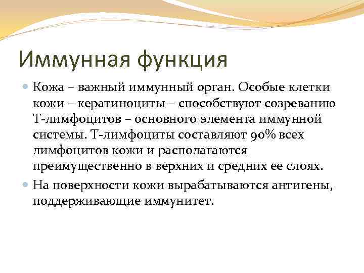 Иммунная функция Кожа – важный иммунный орган. Особые клетки кожи – кератиноциты – способствуют