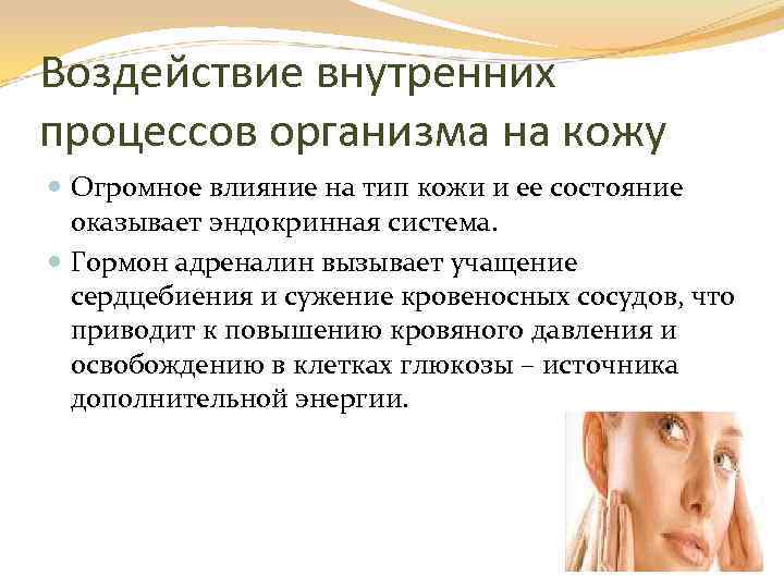 Воздействие внутренних процессов организма на кожу Огромное влияние на тип кожи и ее состояние