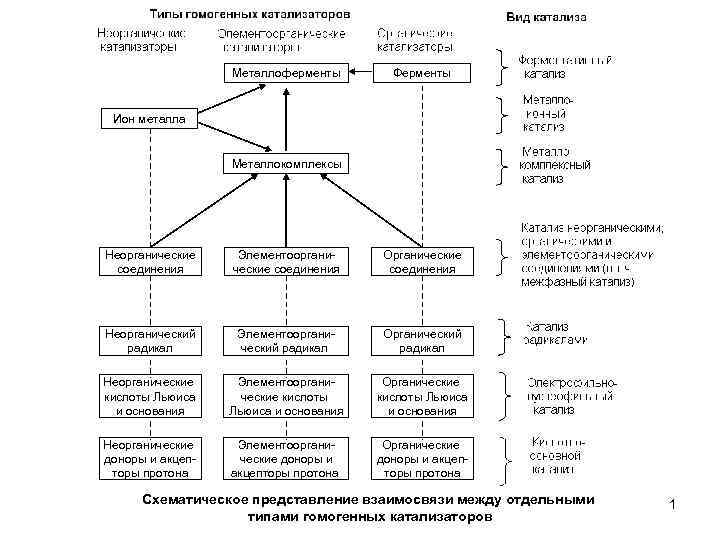 Металлоферменты Ферменты Ион металла Металлокомплексы Неорганические соединения Элементоорганические соединения Органические соединения Неорганический радикал Элементоорганический