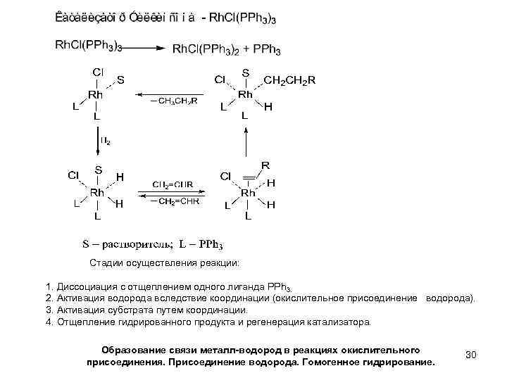 Стадии осуществления реакции: 1. Диссоциация с отщеплением одного лиганда PPh 3. 2. Активация водорода