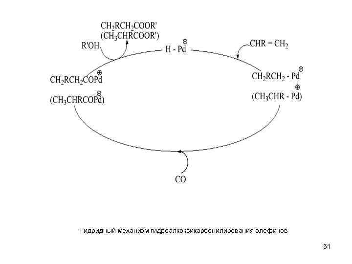Гидридный механизм гидроалкоксикарбонилирования олефинов 51 