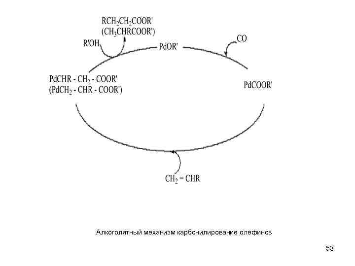 Алкоголятный механизм карбонилирование олефинов 53 