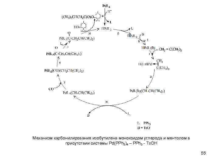 Механизм карбонилирование изобутилена моноксидом углерода и ментолом в присутствии системы Pd(PPh 3)4 – PPh