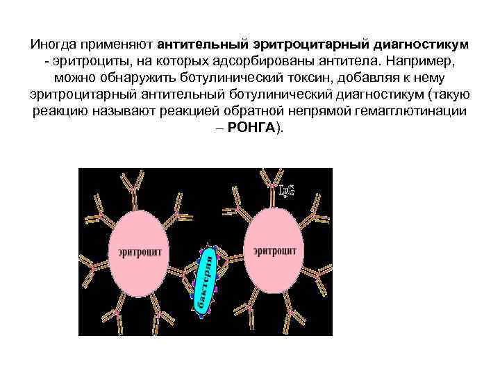 Иногда применяют антительный эритроцитарный диагностикум - эритроциты, на которых адсорбированы антитела. Например, можно обнаружить