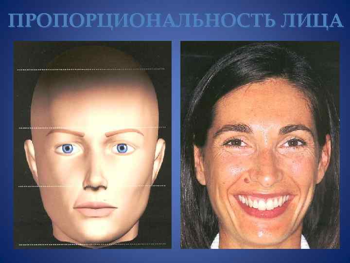 ПРОПОРЦИОНАЛЬНОСТЬ ЛИЦА 