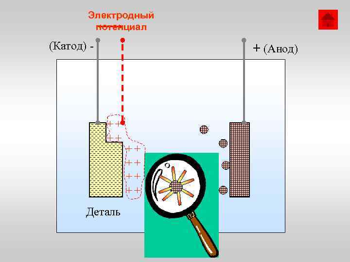 Электродный потенциал (Катод) - + (Анод) ++ ++ Деталь ++ ++ 