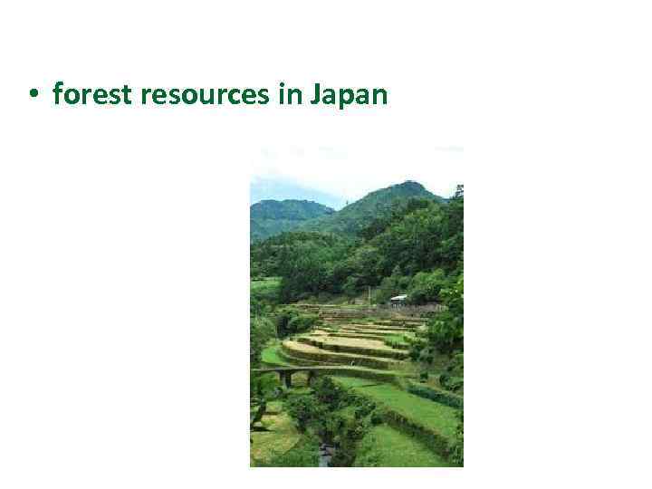  • forest resources in Japan 