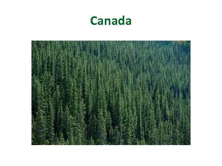 Canada 