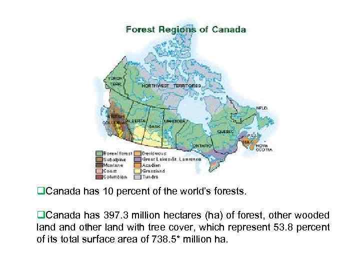 Лесные ресурсы канады таблица. Лесные ресурсы Канады карта. Леса Канады на карте. Лесной сектор Канады. Лесные ресурсы Канады кратко.