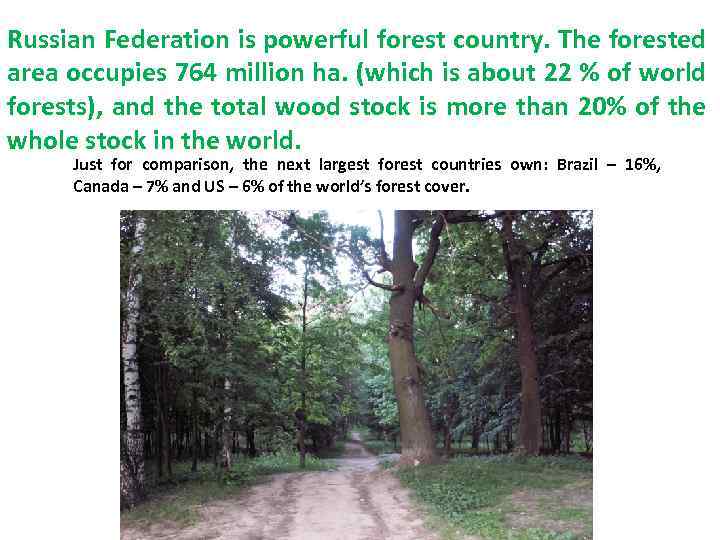 Russian Federation is powerful forest country. The forested area occupies 764 million ha. (which