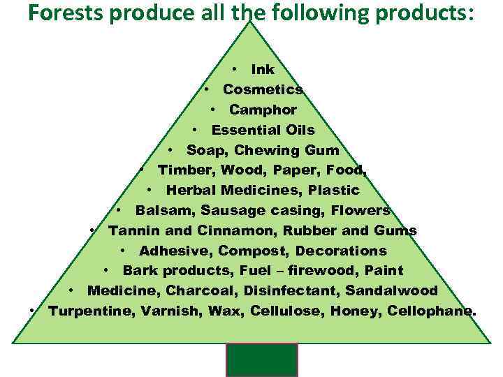 Forests produce all the following products: • Ink • Cosmetics • Camphor • Essential