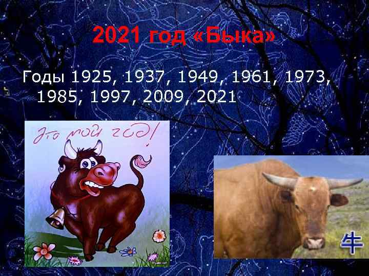 2021 год «Быка» Годы 1925, 1937, 1949, 1961, 1973, 1985, 1997, 2009, 2021 