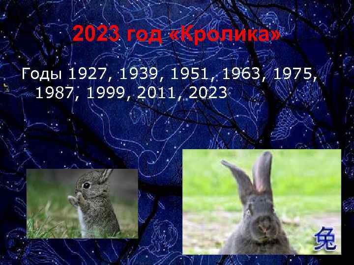 2023 год «Кролика» Годы 1927, 1939, 1951, 1963, 1975, 1987, 1999, 2011, 2023 