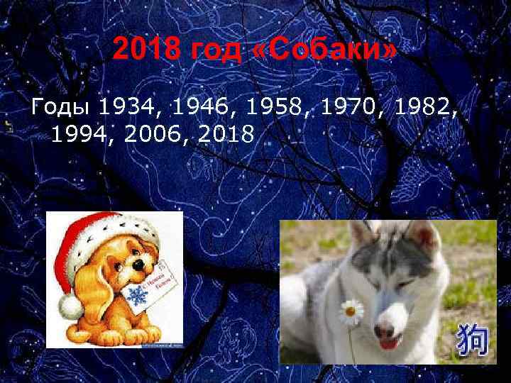 2018 год «Собаки» Годы 1934, 1946, 1958, 1970, 1982, 1994, 2006, 2018 