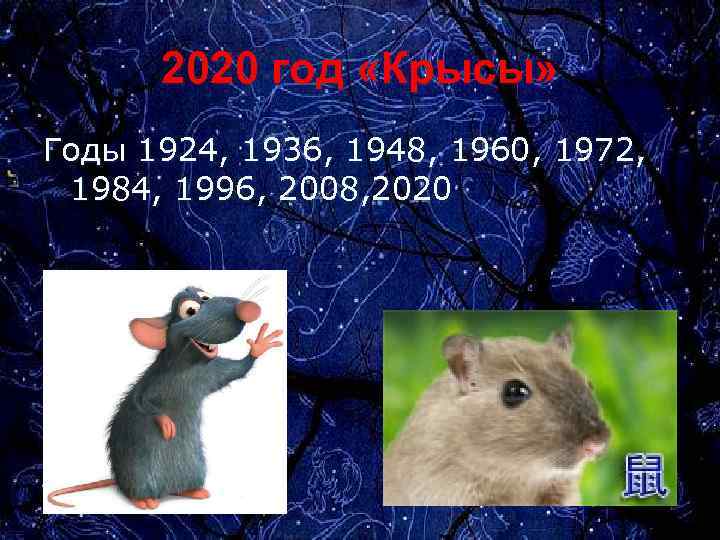2020 год «Крысы» Годы 1924, 1936, 1948, 1960, 1972, 1984, 1996, 2008, 2020 