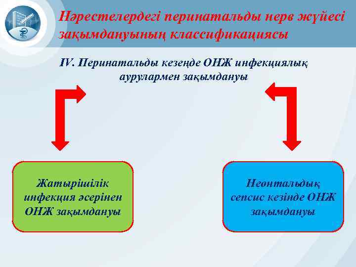 Нәрестелердегі перинатальды нерв жүйесі зақымдануының классификациясы IV. Перинатальды кезеңде ОНЖ инфекциялық аурулармен зақымдануы Жатырішілік