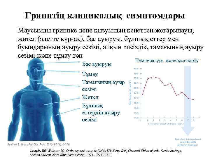  Грипптің клиникалық симптомдары Маусымды гриппке дене қызуының кенеттен жоғарылауы, жөтел (әдетте құрғақ), бас