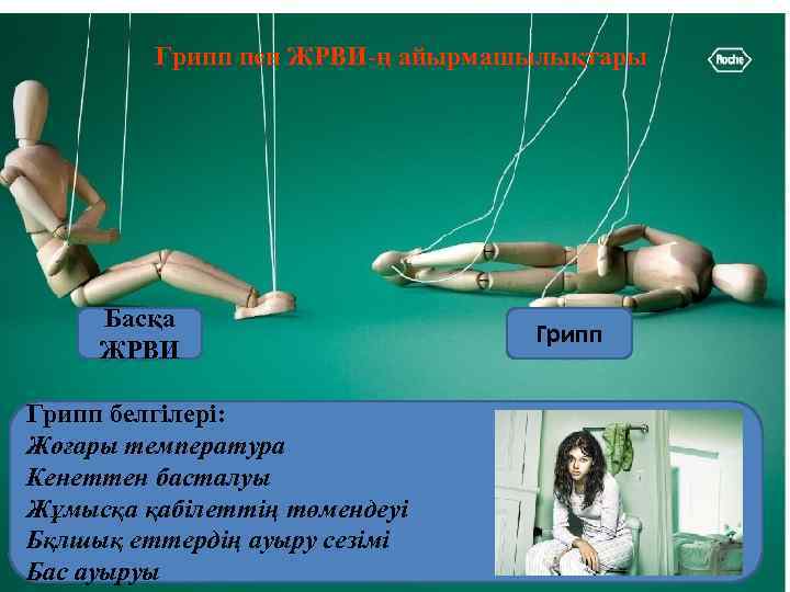    Грипп пен ЖРВИ-ң айырмашылықтары   Басқа    