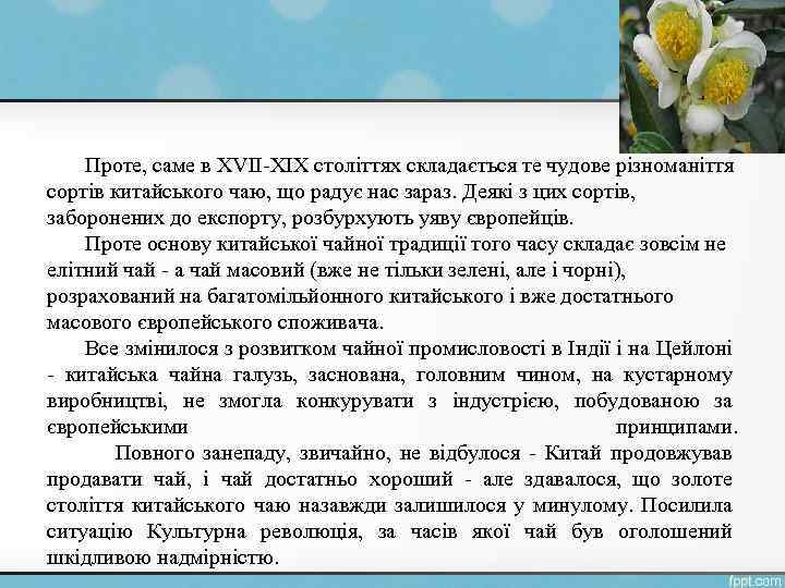Проте, саме в XVII-XIX століттях складається те чудове різноманіття сортів китайського чаю, що радує