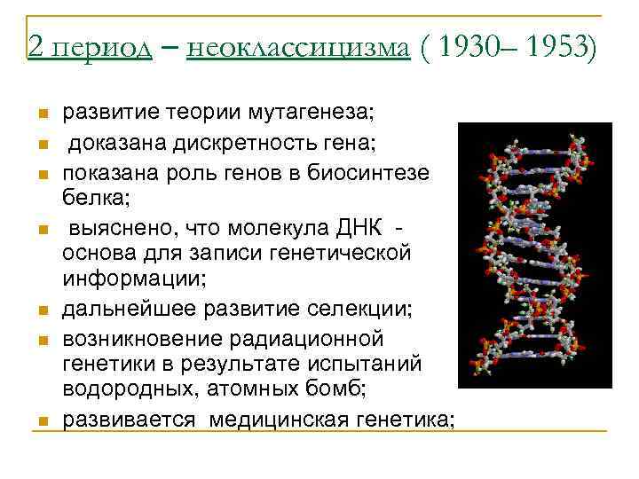 2 период – неоклассицизма ( 1930– 1953) n развитие теории мутагенеза; n доказана дискретность