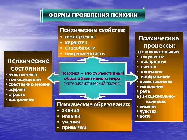 Проявления психики. Формы проявления психики и их взаимосвязь.