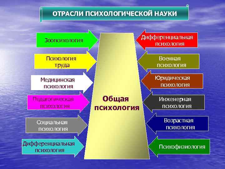 ОТРАСЛИ ПСИХОЛОГИЧЕСКОЙ НАУКИ Дифференциальная психология Зоопсихология Психология труда Военная психология Юридическая психология Медицинская психология