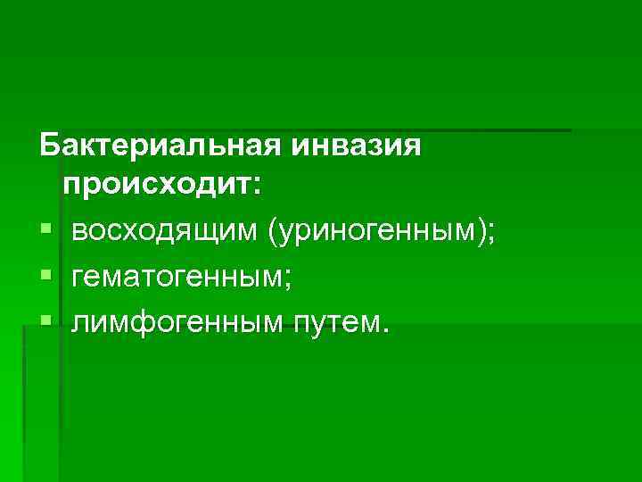 Бактериальная инвазия происходит: § восходящим (уриногенным); § гематогенным; § лимфогенным путем. 