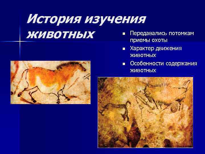 История изучения Передавались потомкам животных приемы охоты n n n Характер движения животных Особенности
