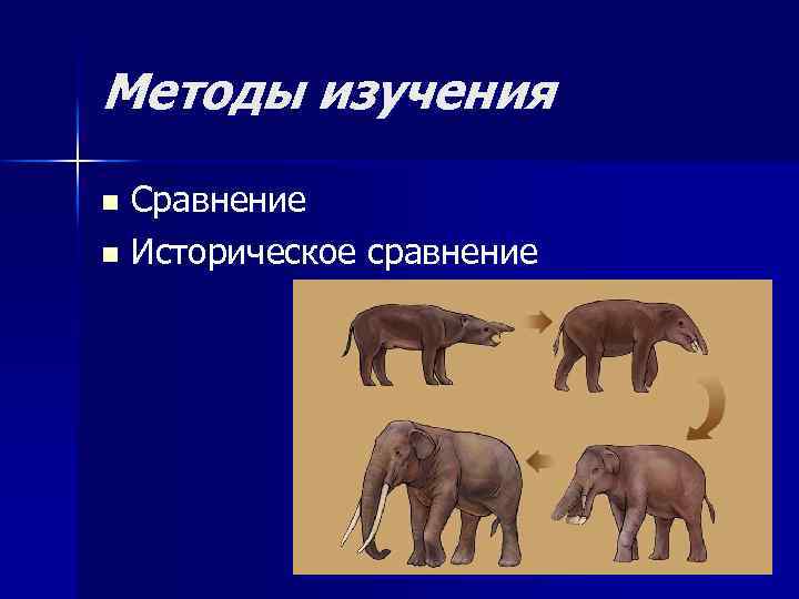 Методы изучения Сравнение n Историческое сравнение n 
