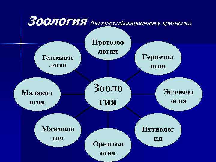 Зоология (по классификационному критерию) Гельминто логия Малакол огия Маммоло гия Протозоо логия Зооло гия