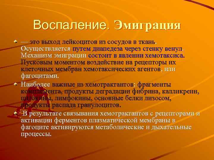 Воспаление. Эмиграция — это выход лейкоцитов из сосудов в ткань. Осуществляется путем диапедеза через