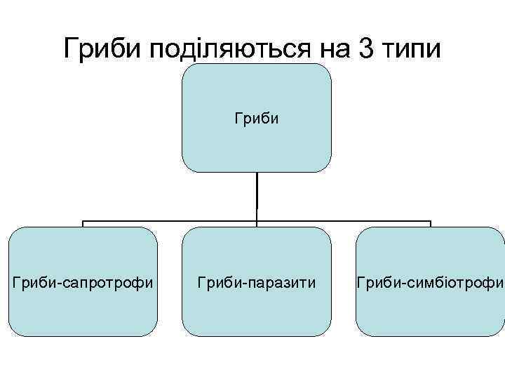 Гриби поділяються на 3 типи Гриби-сапротрофи Гриби-паразити Гриби-симбіотрофи 