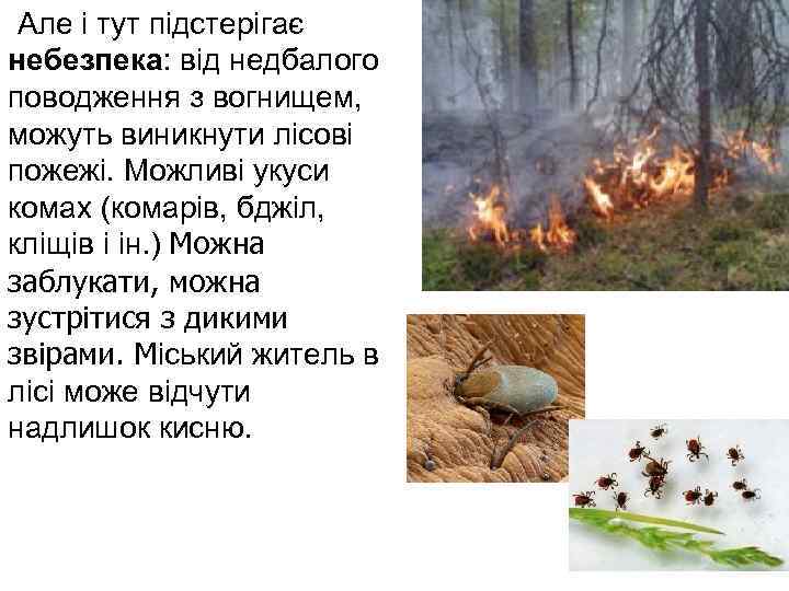  Але і тут підстерігає небезпека: від недбалого поводження з вогнищем, можуть виникнути лісові